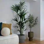 Superb Unirii Square View Large 1br Flat - 609 Appartement